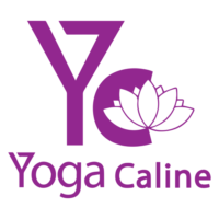 Cours de méditation et philosophie du yoga dès 8 janvier 2020